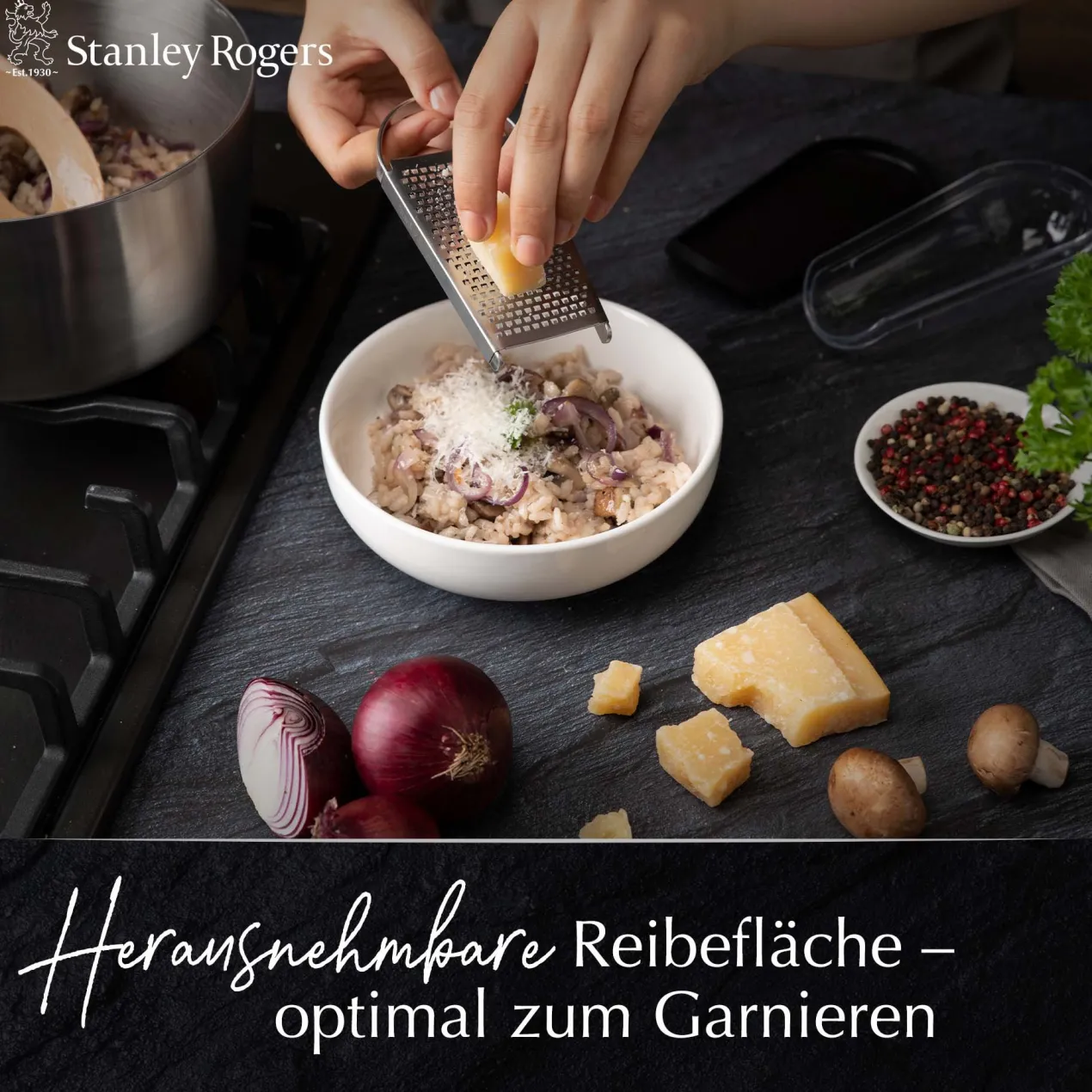 Exquisit Käsereibe mit Auffangschale